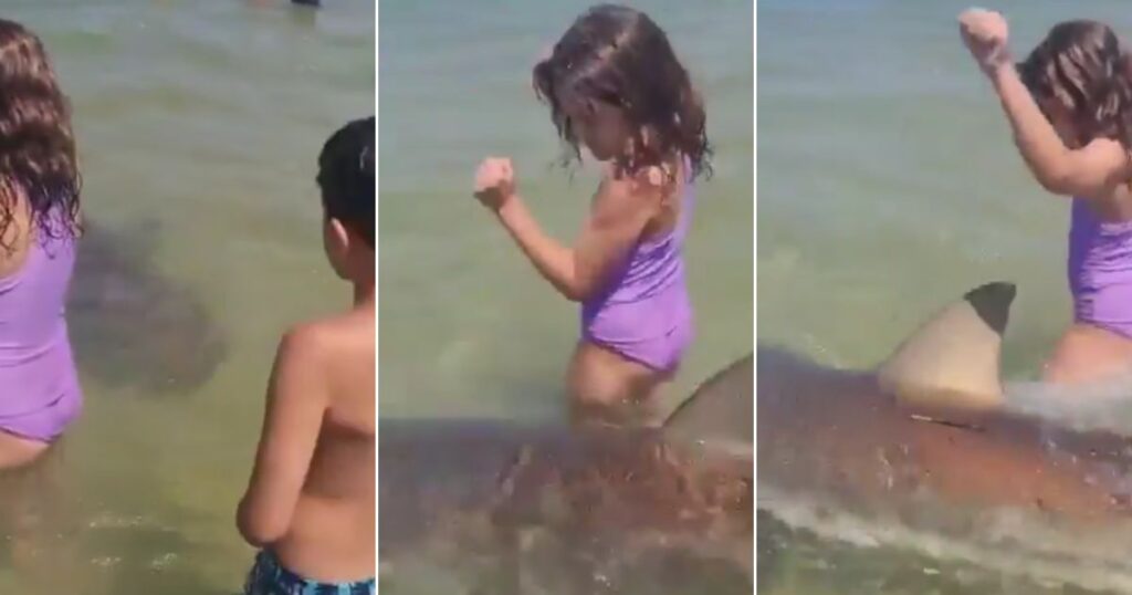 Video Shows Shark Swimming Between Children Before Attack